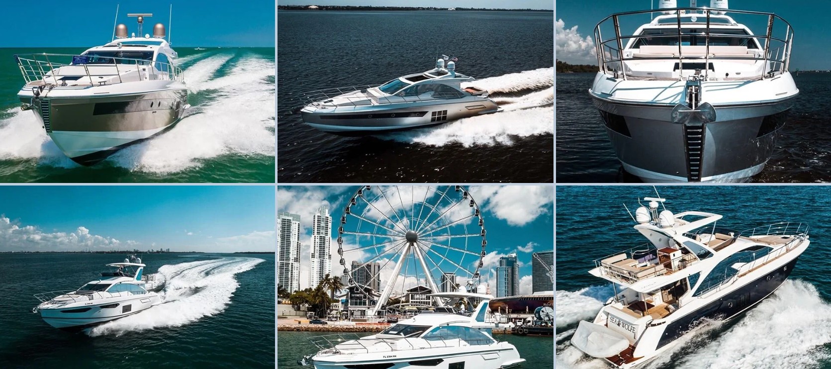 Voyage Photography preview image